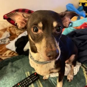 Meet your Posher, Olga